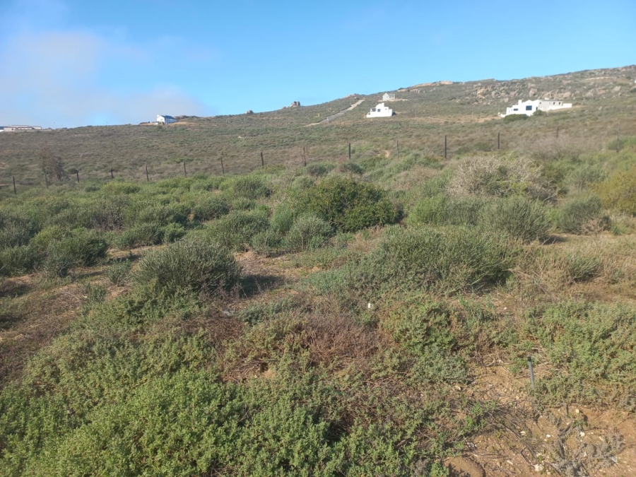 0 Bedroom Property for Sale in Steenbergs Cove Western Cape